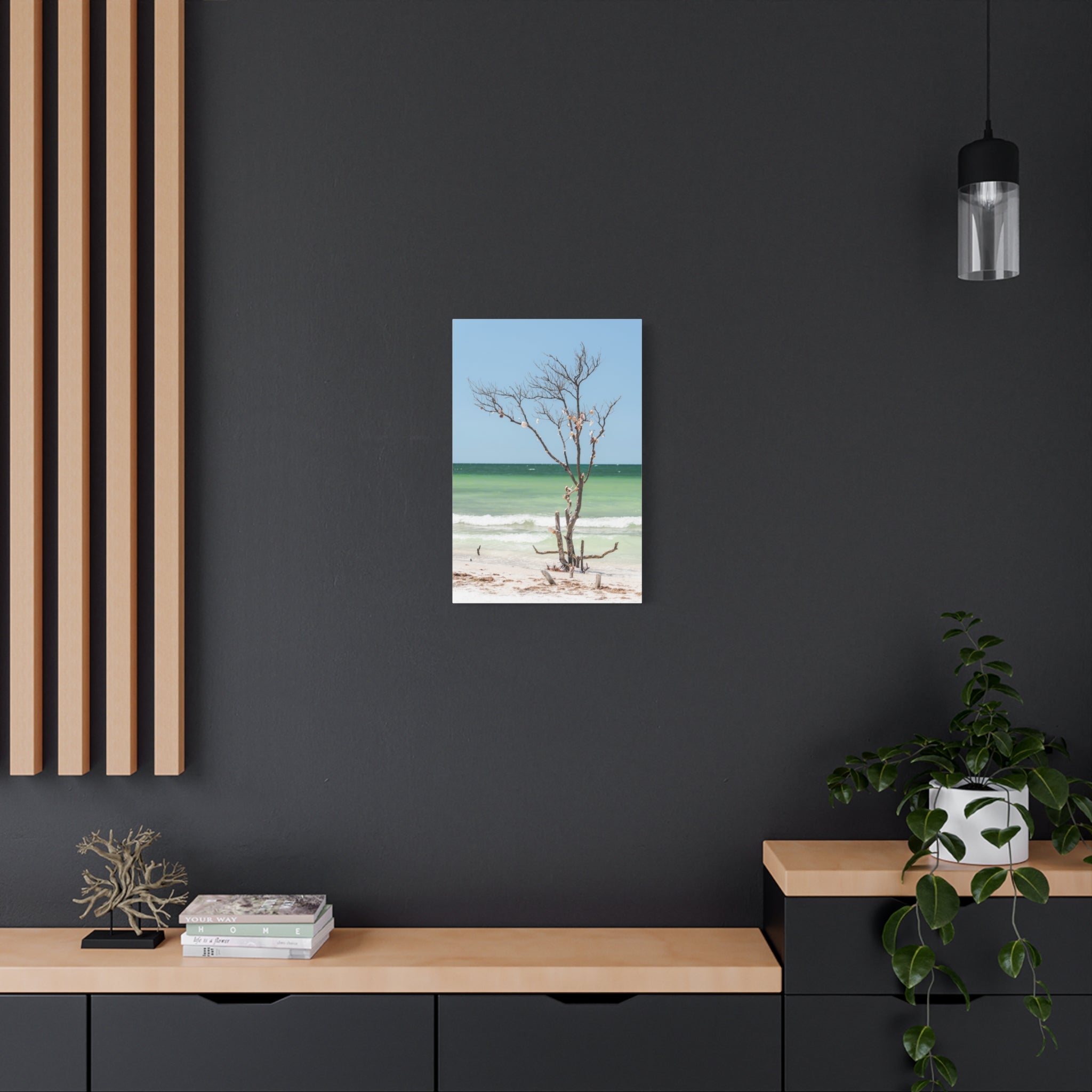 Canvas Wall Art - Honeymoon Island Seashell Tree