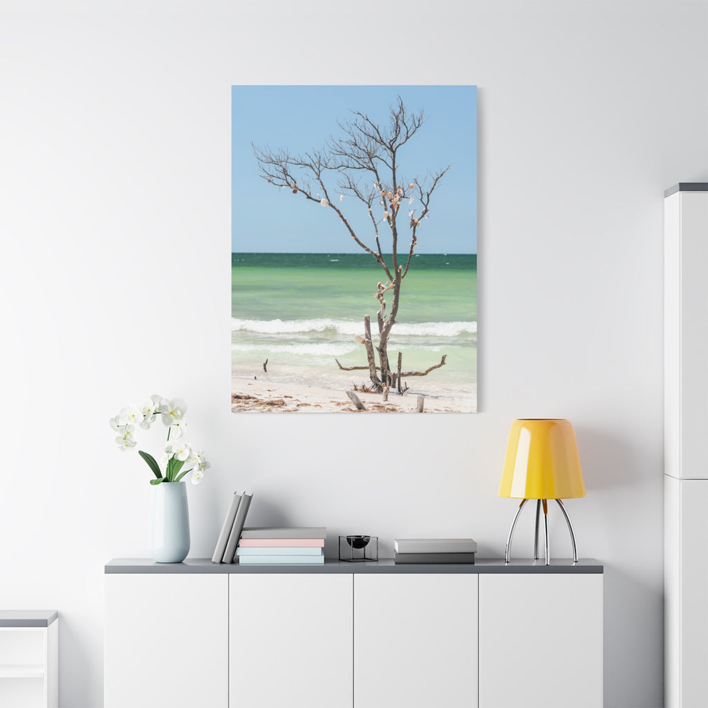 Canvas Wall Art - Honeymoon Island Seashell Tree