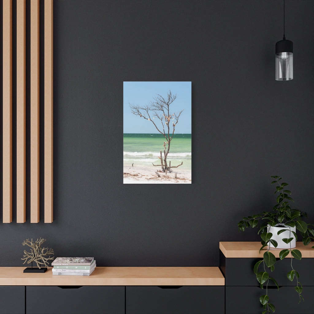 Canvas Wall Art - Honeymoon Island Seashell Tree
