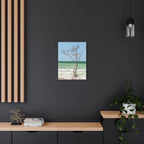 Canvas Wall Art - Honeymoon Island Seashell Tree