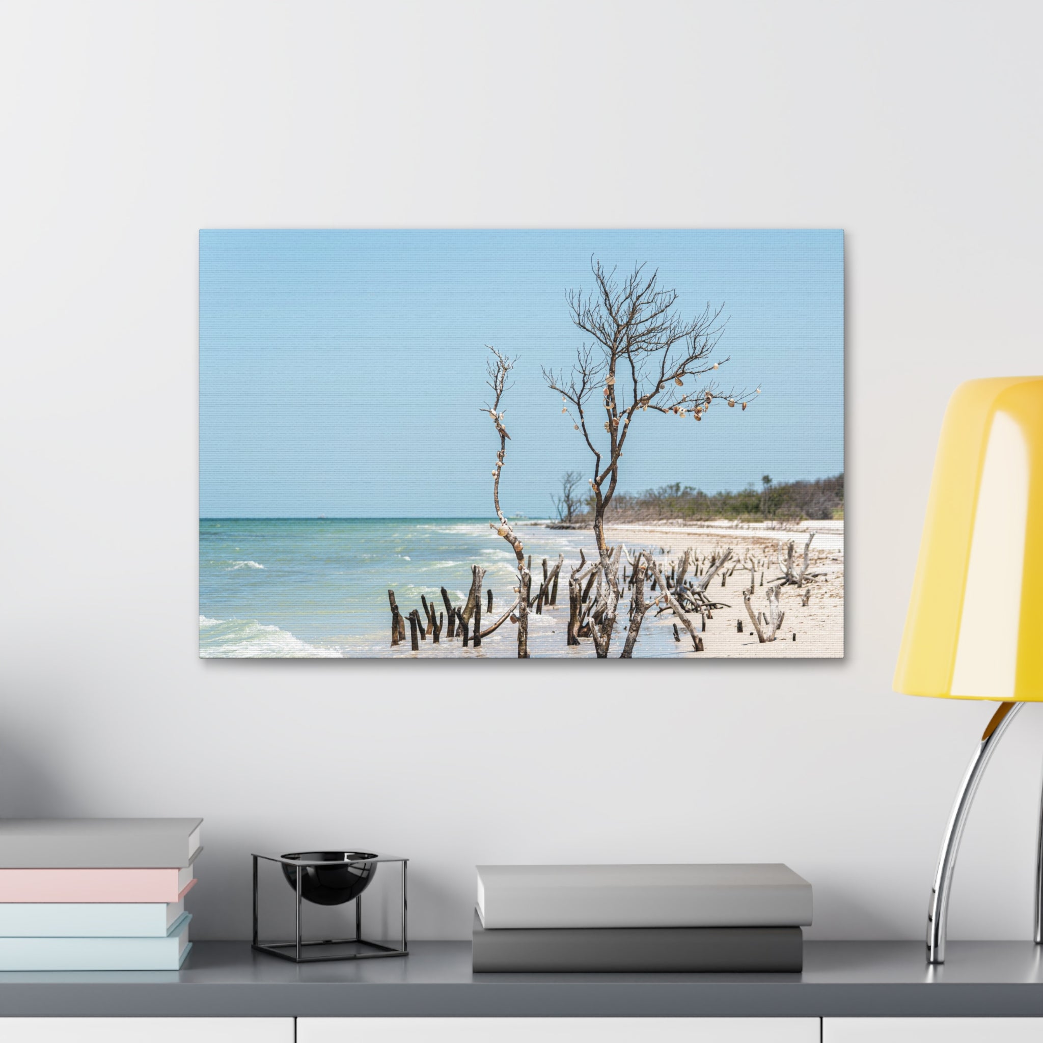 Canvas Wall Art - Honeymoon Island Driftwood