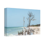 Canvas Wall Art - Honeymoon Island Driftwood