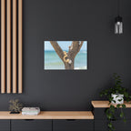 Canvas Wall Art - Honeymoon Island Seashell Tree