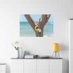 Canvas Wall Art - Honeymoon Island Seashell Tree