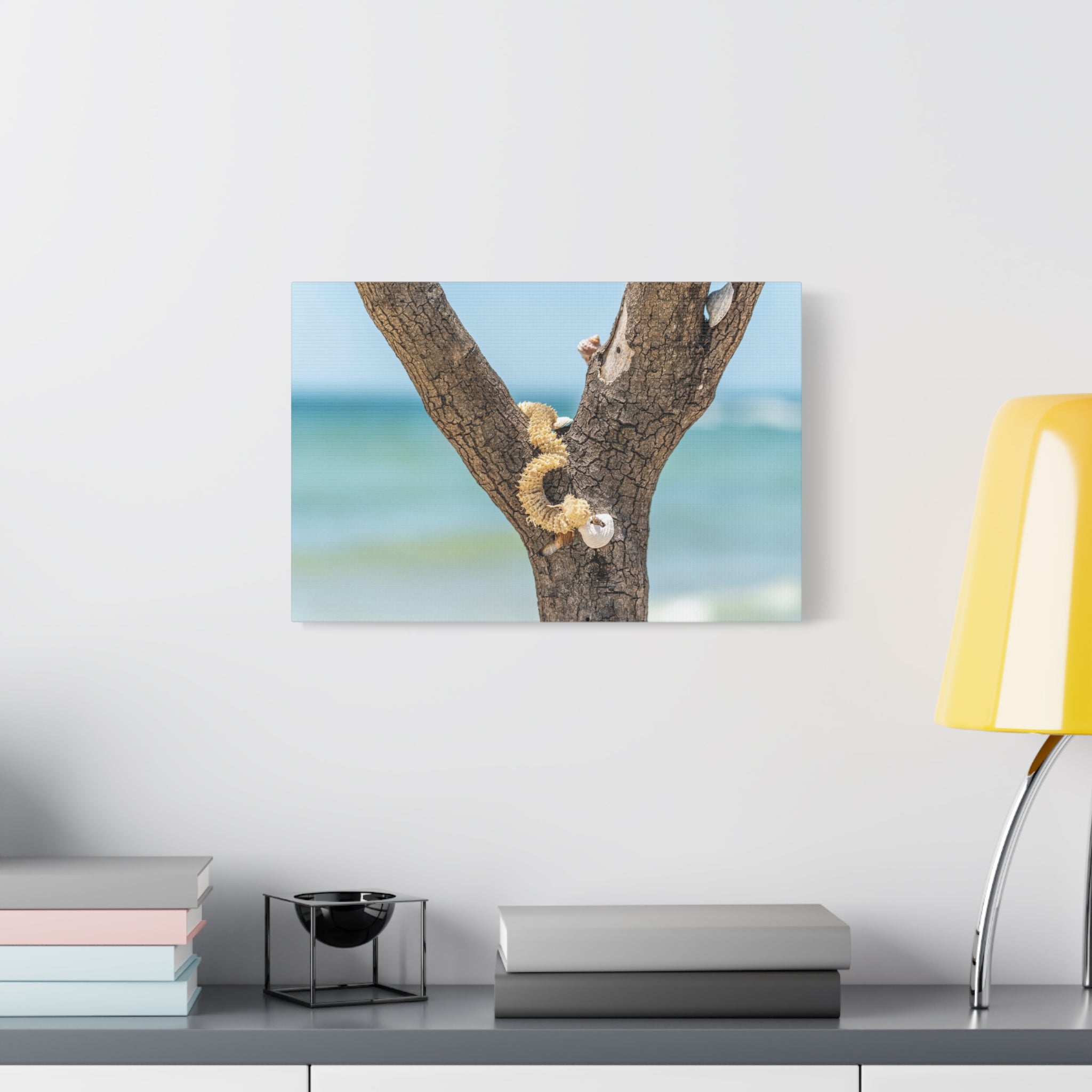Canvas Wall Art - Honeymoon Island Seashell Tree