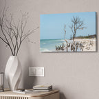 Canvas Wall Art - Honeymoon Island Driftwood