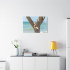 Canvas Wall Art - Honeymoon Island Seashell Tree