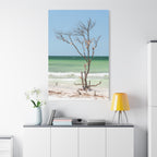 Canvas Wall Art - Honeymoon Island Seashell Tree