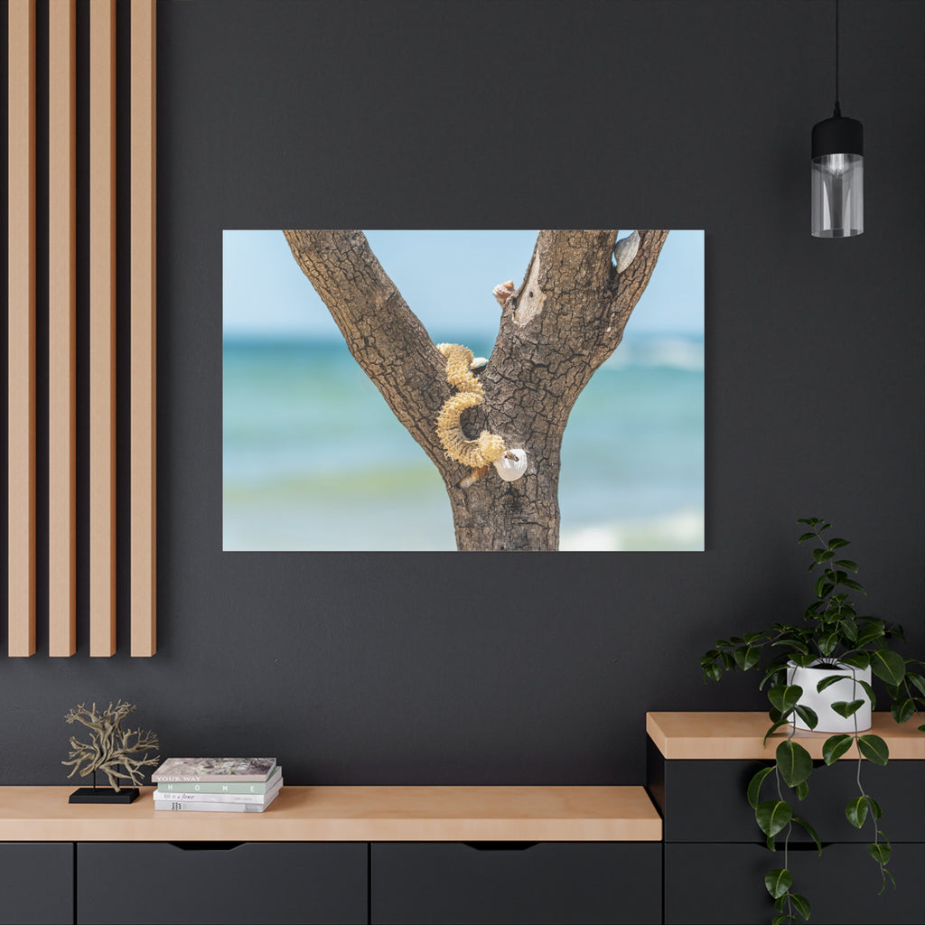 Canvas Wall Art - Honeymoon Island Seashell Tree
