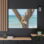 Canvas Wall Art - Honeymoon Island Seashell Tree