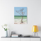 Canvas Wall Art - Honeymoon Island Seashell Tree
