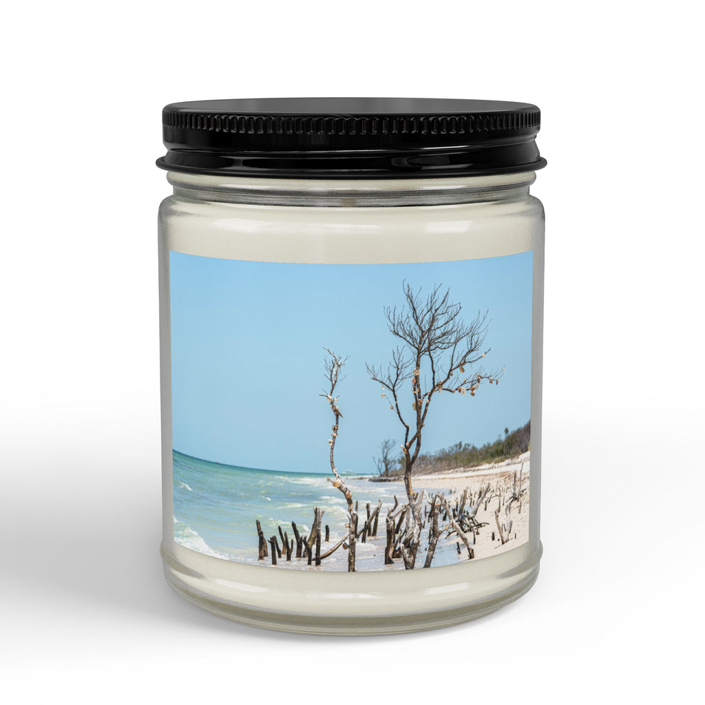 Soy Candle — Scented Beach Candle with Black Lid (4oz & 9oz)