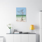 Canvas Wall Art - Honeymoon Island Seashell Tree