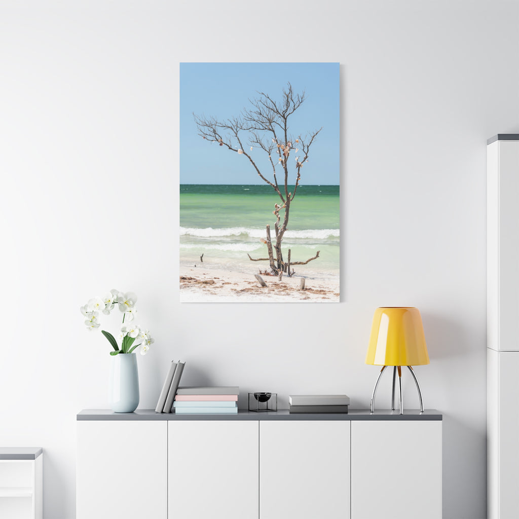 Canvas Wall Art - Honeymoon Island Seashell Tree