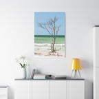 Canvas Wall Art - Honeymoon Island Seashell Tree