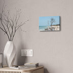 Canvas Wall Art - Honeymoon Island Driftwood