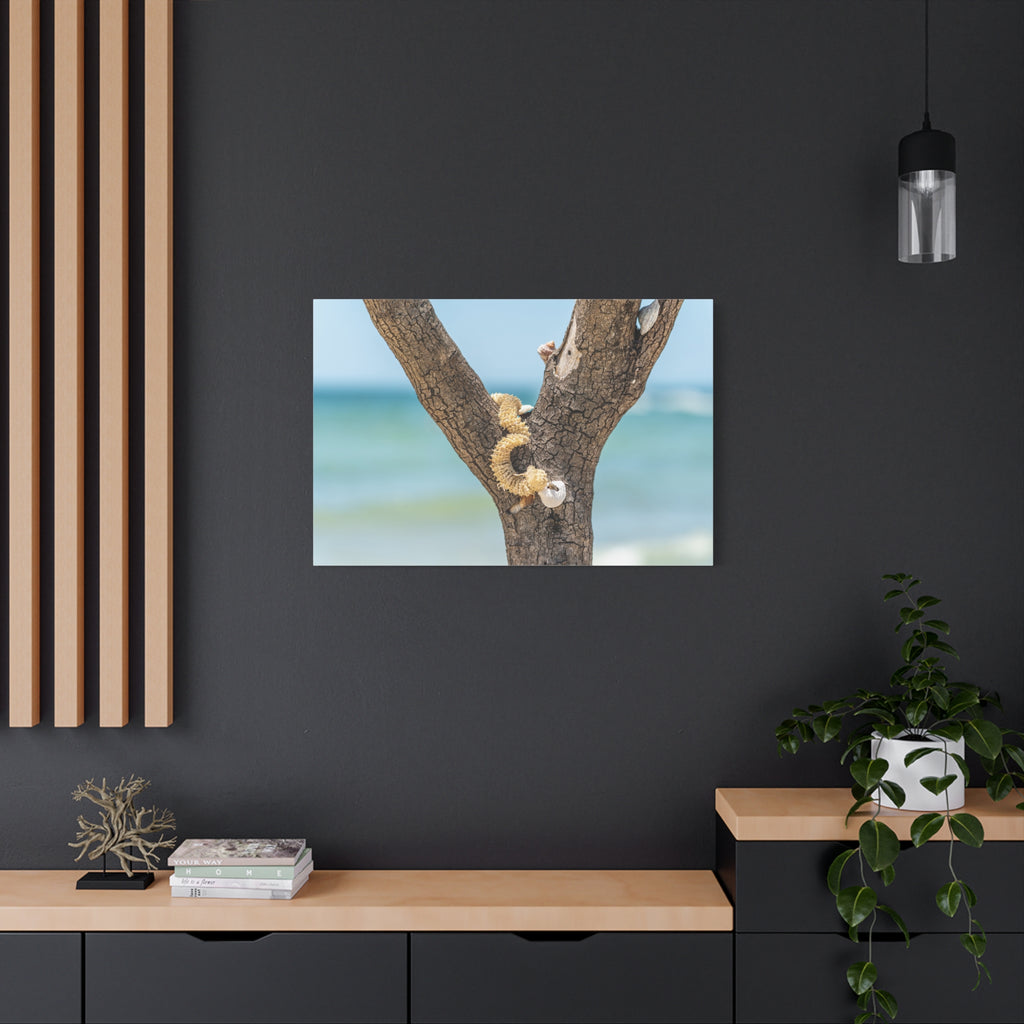 Canvas Wall Art - Honeymoon Island Seashell Tree