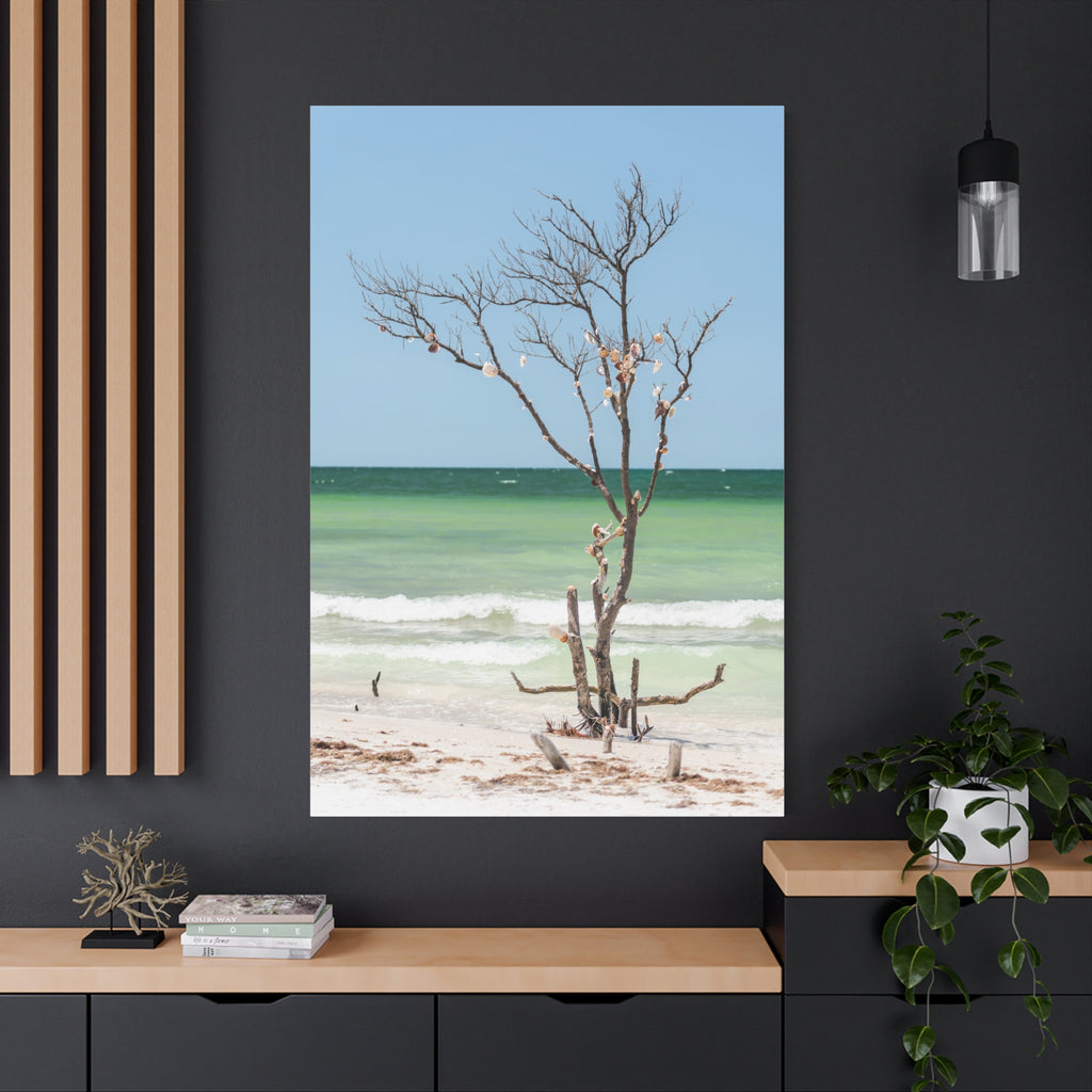 Canvas Wall Art - Honeymoon Island Seashell Tree