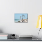 Canvas Wall Art - Honeymoon Island Driftwood