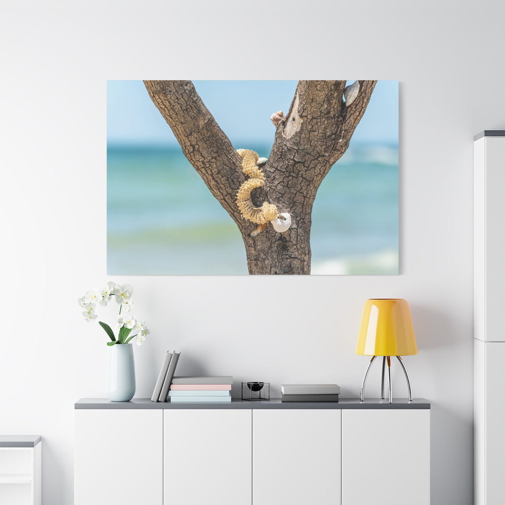 Canvas Wall Art - Honeymoon Island Seashell Tree