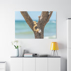 Canvas Wall Art - Honeymoon Island Seashell Tree