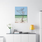 Canvas Wall Art - Honeymoon Island Seashell Tree