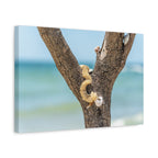 Canvas Wall Art - Honeymoon Island Seashell Tree