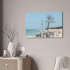 Canvas Wall Art - Honeymoon Island Driftwood