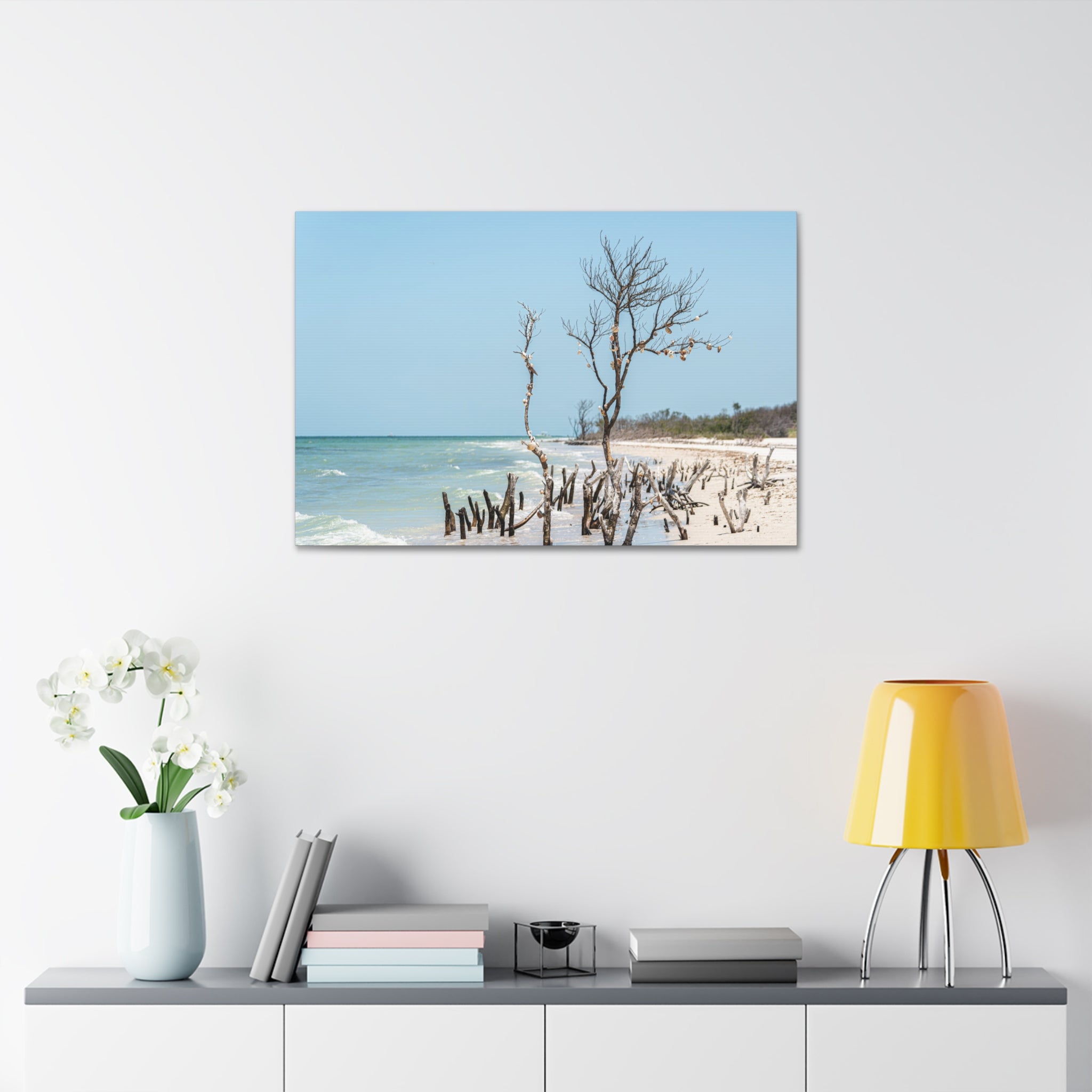 Canvas Wall Art - Honeymoon Island Driftwood