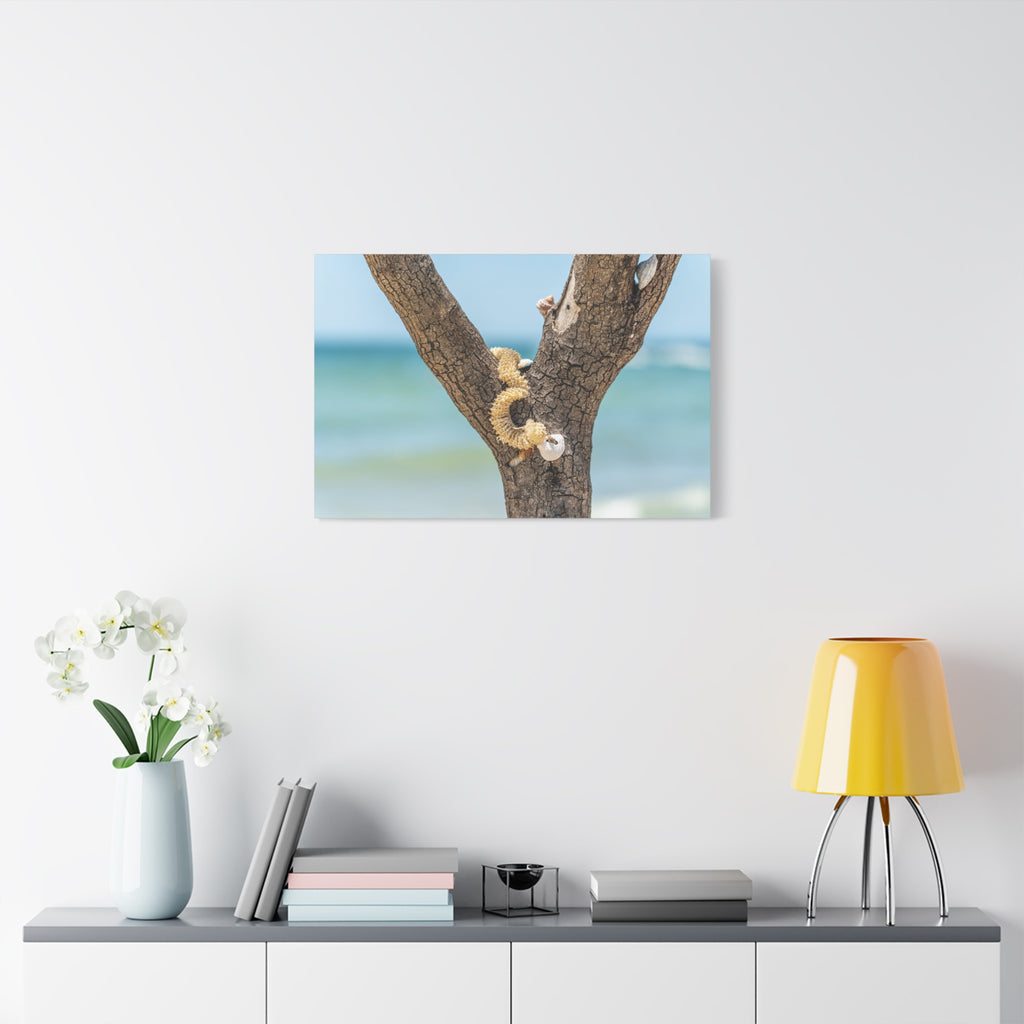 Canvas Wall Art - Honeymoon Island Seashell Tree